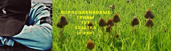 гашиш Осташков