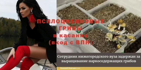 герыч Алексеевка