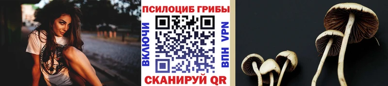 Псилоцибиновые грибы мицелий  Махачкала 