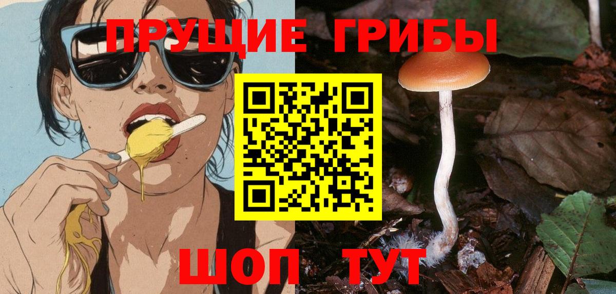 Махачкала  Галлюциногенные грибы мухоморы  Вход с VPN  Галлюциногенные грибы Cubensis 