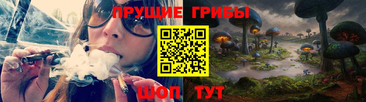Псилоцибиновые грибы мухоморы Махачкала